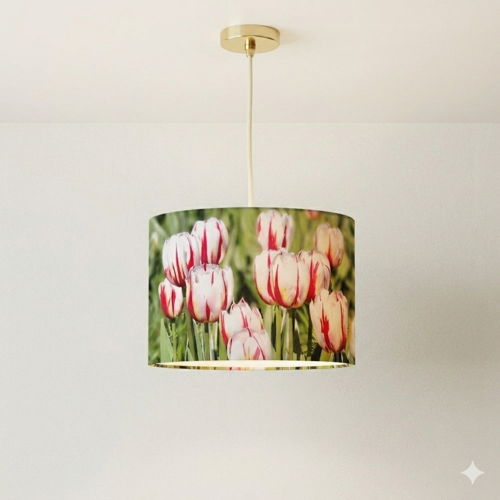 Tulips (photo by Odette Illingworth) - Image 2