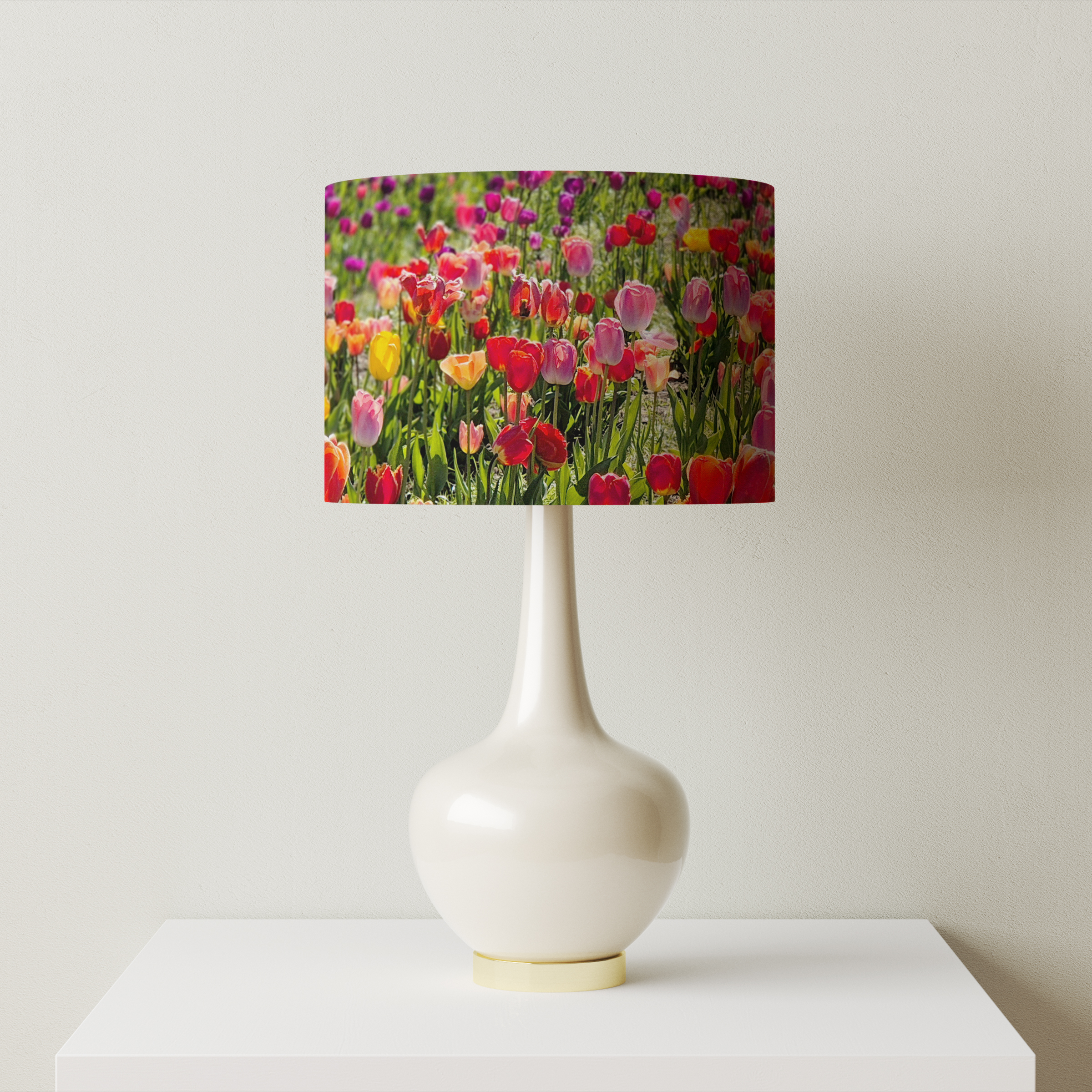 Tulip Field (photo by Odette Illingworth) - Image 2